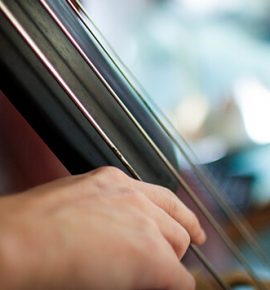 The Musician’s Way: Practice, Performance and Wellness